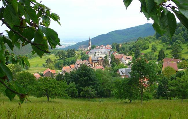 Hotel Du Haut Koenigsbourg- Entre Vignes Et Chateau タネンキルヒ エクステリア 写真