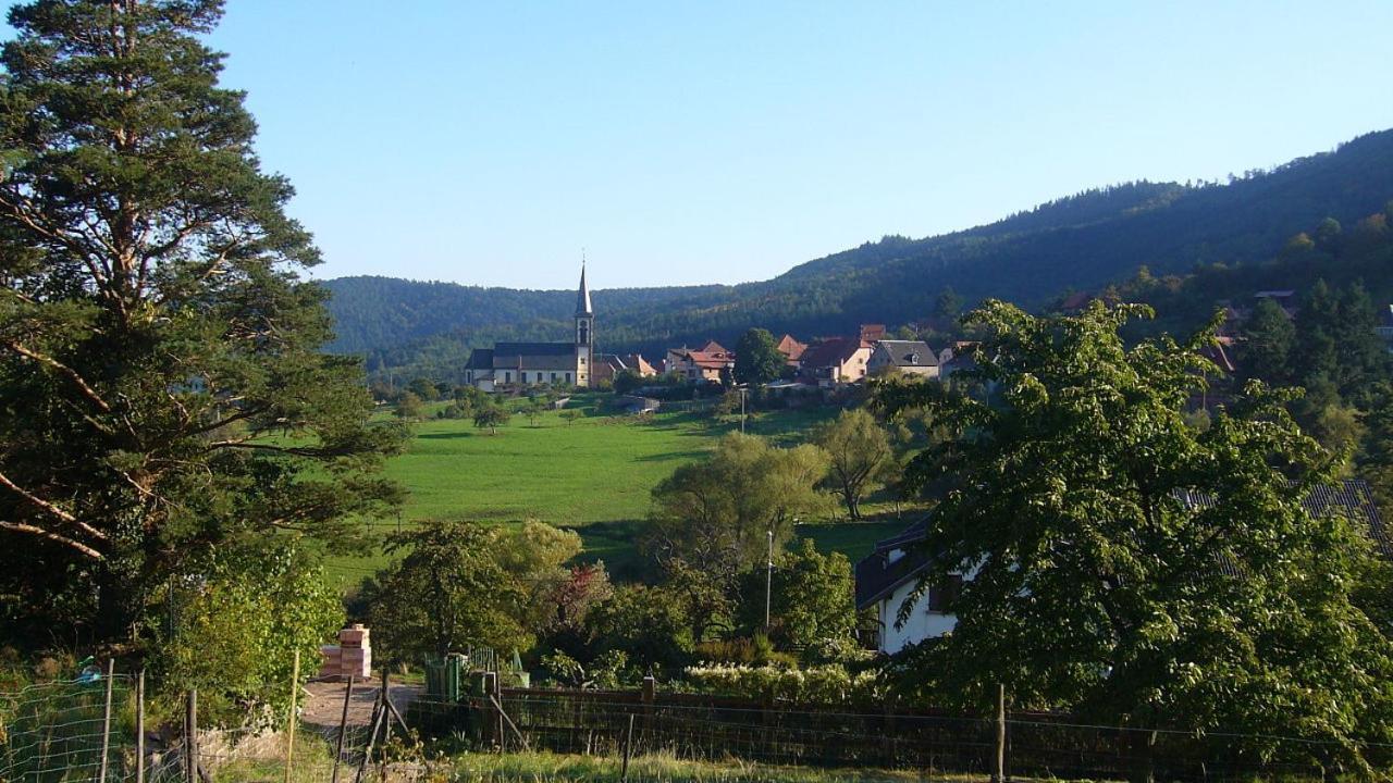 Hotel Du Haut Koenigsbourg- Entre Vignes Et Chateau タネンキルヒ エクステリア 写真